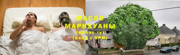 индика Инсар