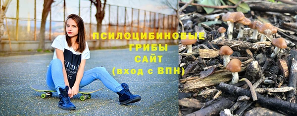 ПСИЛОЦИБИНОВЫЕ ГРИБЫ Белокуриха