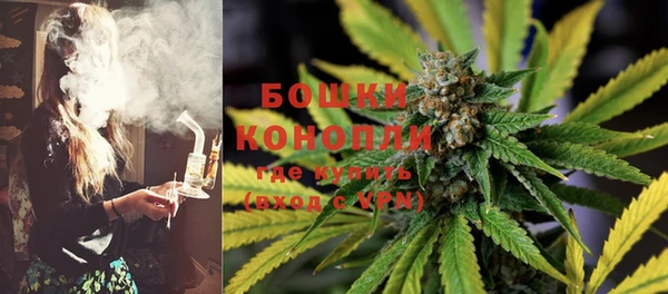 ГАЛЛЮЦИНОГЕННЫЕ ГРИБЫ Богородицк