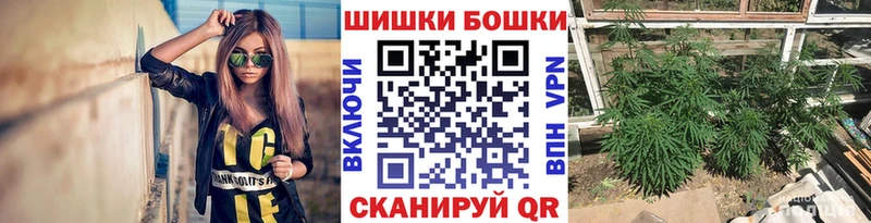 Канабис OG Kush  Высоковск 